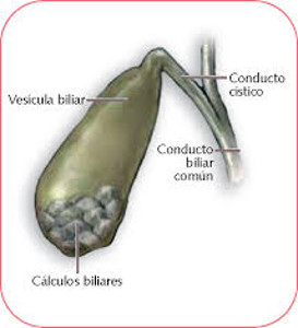 Imagen tomada de elsevier.es