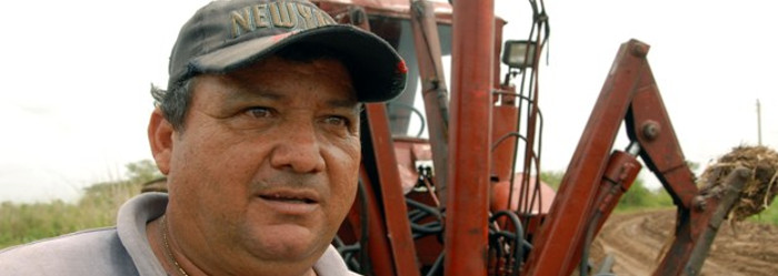 Sobre un cangrejo metálico… 
