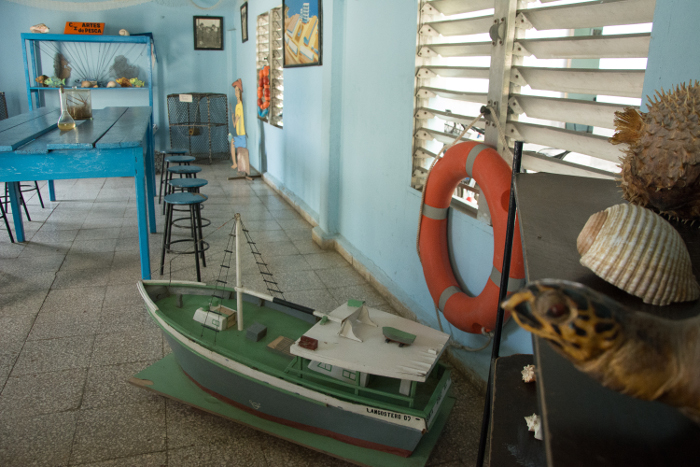 El Sistema de Educación en la provincia tiene bien claro dentro de sus prioridades que la formación vocacional es vital para el futuro de Cuba. El trabajo desde edades tempranas propicia una mejor elección del alumno a la hora de escoger su futura carrera y garantiza la continuidad de estudios.