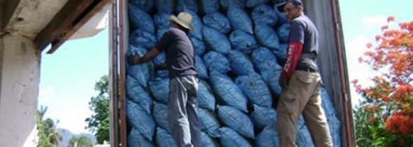 Fomentan en Camagüey producción de carbón vegetal y madera aserrada