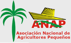 Campesinos camagüeyanos organizan actividades de ocio en el verano