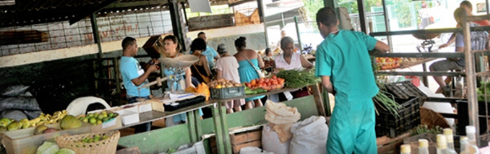 Non-state workers run a third of Cuban service businesses