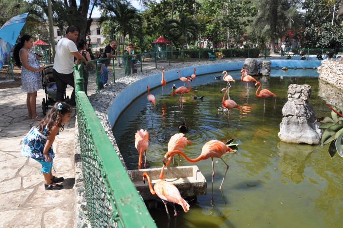 Un principal objetivo de estos parques es educar y ampliar la cultura.