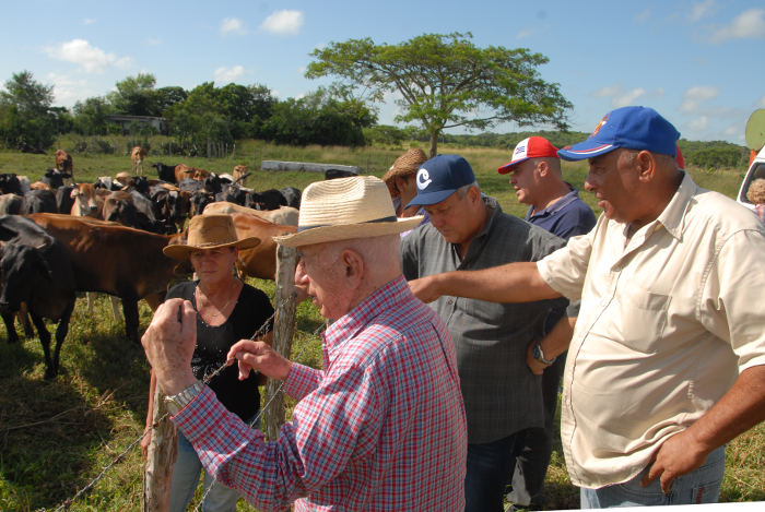 Cuban Vice President Machado Ventura Calls for Improvement in Cattle Raising in Camagüey