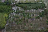 santa_lucia_y_cayos-wewb9