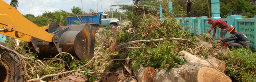 Camagüey se recupera de los embates del huracán Irma (+Galería)