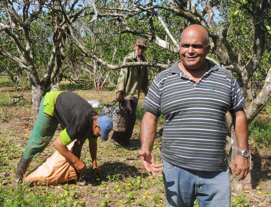 El administrador de la UBPC Cuba-Argentina espera volver a darle vitalida a las plantaciones.