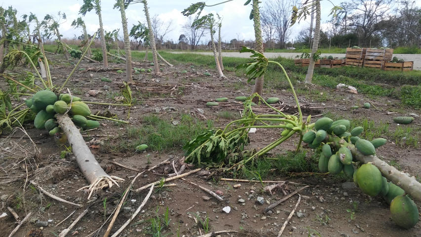 Foto de Orlando Seguí Aguilar