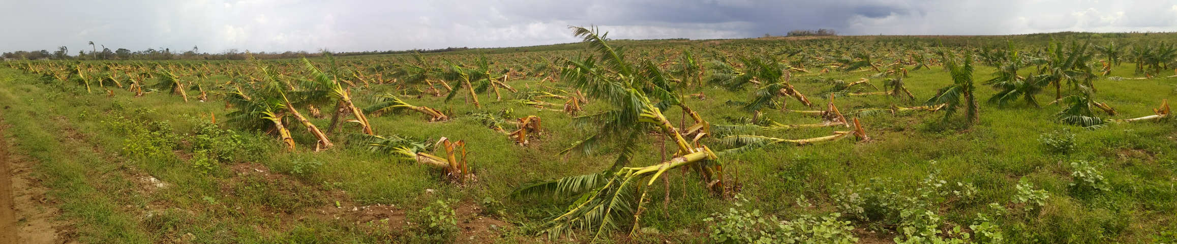 Las tijeras de Irma