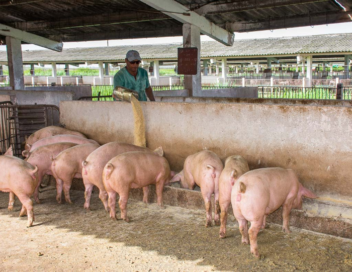 Más fuertes que ciclones