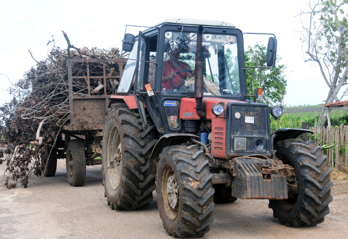 Tomarle el pulso a Esmeralda
