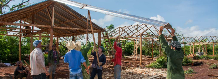 Agricultores cosechan casas