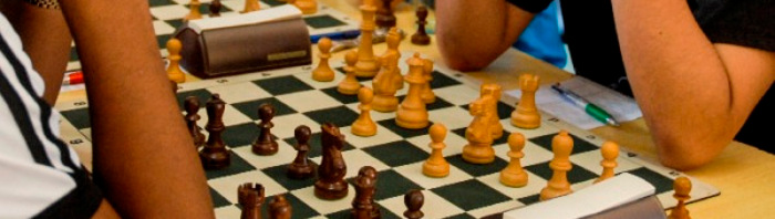 Ajedrez Provincial: en busca del rey 