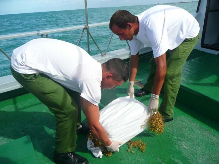 Confiscan en Cuba más de cuatro toneladas de drogas en recalos