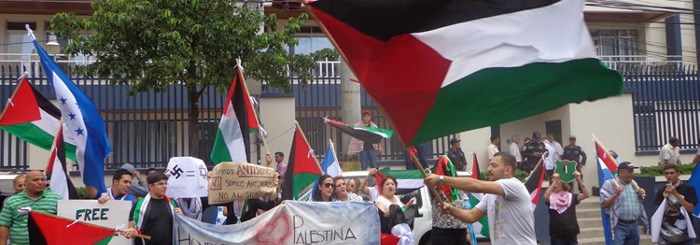 Cuba declara en ONU su solidaridad con Palestina