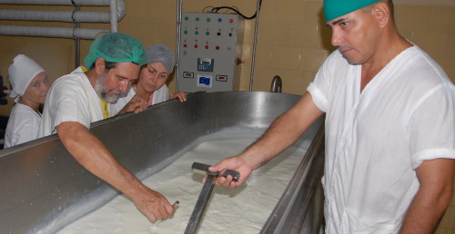 Empresas alimentarias de Camagüey en avance por la calidad