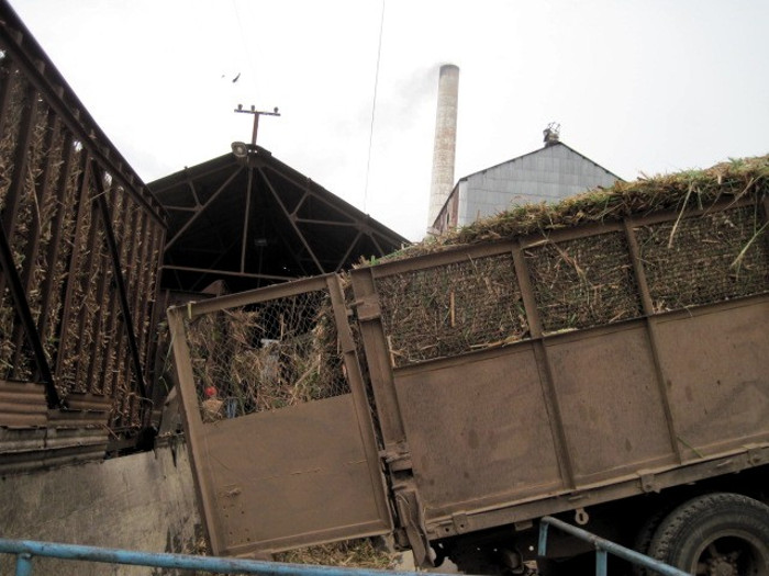 Por el Siboney arrancó la zafra azucarera