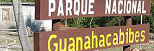 Bird watching in Guanahacabibes
