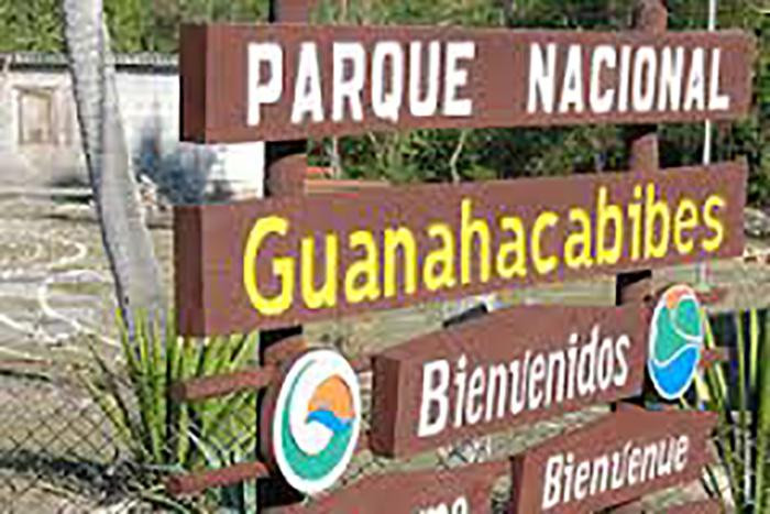 Bird watching in Guanahacabibes