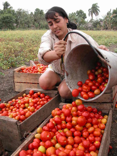 Foto: Otilio Rivero Delgado/Adelante/Archivo
