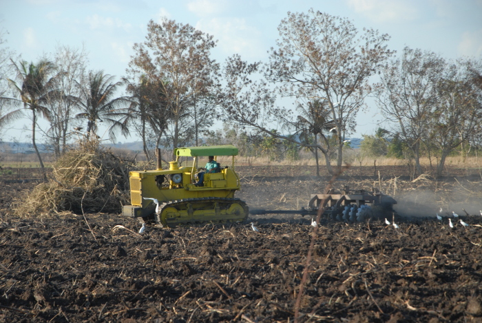 En la Yaya reverdecen los terrenos