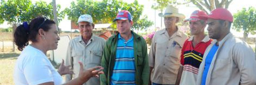 María Teresa, reina entre arrozales