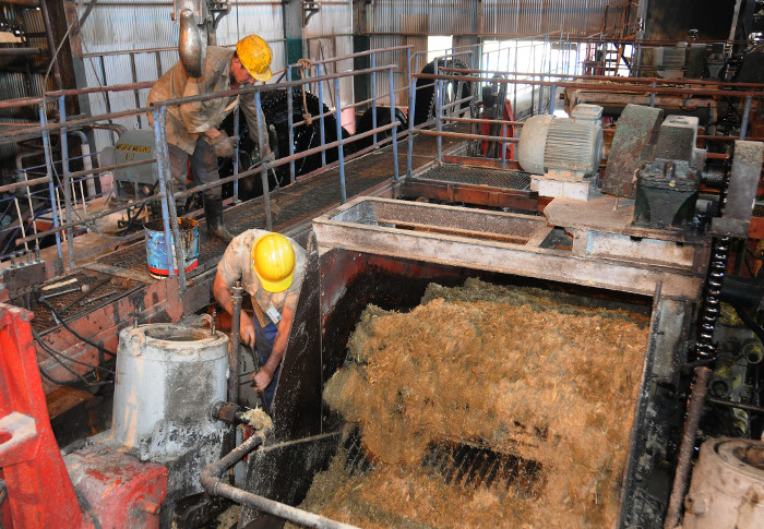 Refinería azucarera de Camagüey comenzó procesamiento del crudo