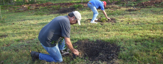 Periodistas de Camagüey reforestan en el parque botánico