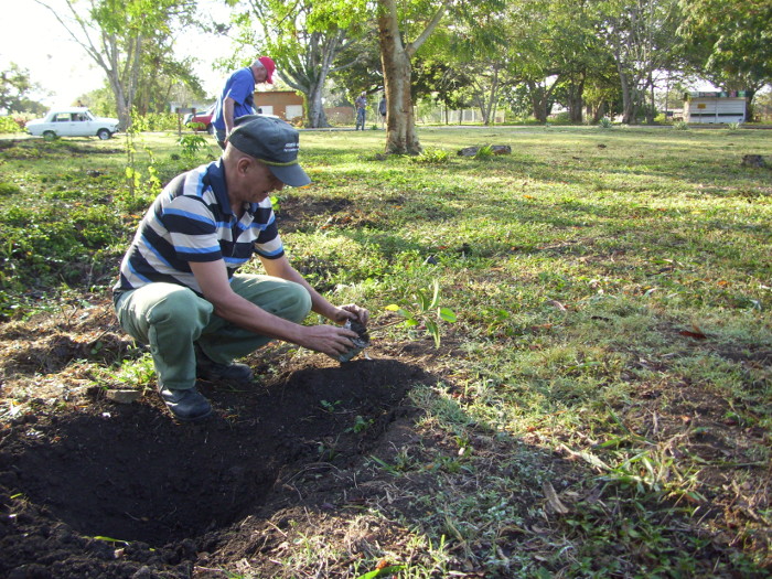 Periodistas de Camagüey reforestan en el parque botánico