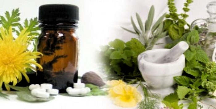 Foto: Archivo Crece producción de medicina natural camagüeyana