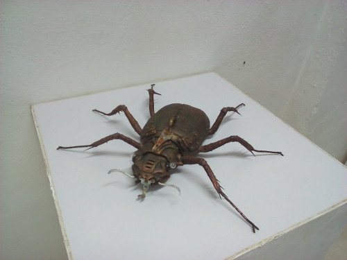 Sandroide, obra de Sandra Navarro Valdés
