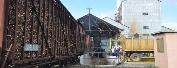 Muelen caña tres ingenios