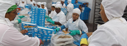 Empresa Pesquera santacruceña ejemplo de eficiencia