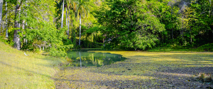 En Camagüey feria de conocimientos sobre ciencia y sostenibilidad ambiental