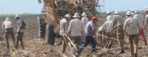 Juventud que recuerda, siembra y se recrea