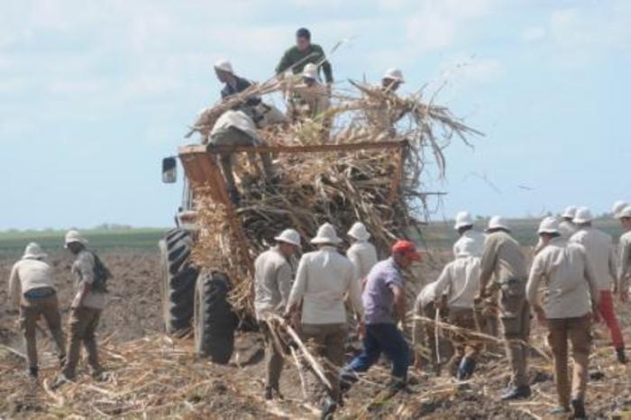 Juventud que recuerda, siembra y se recrea