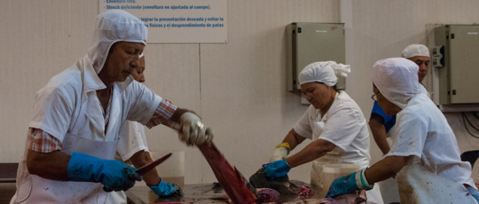 Empresa pesquera amplía su área industrial