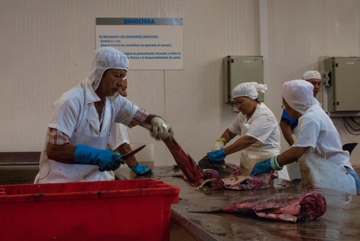 Empresa pesquera amplía su área industrial