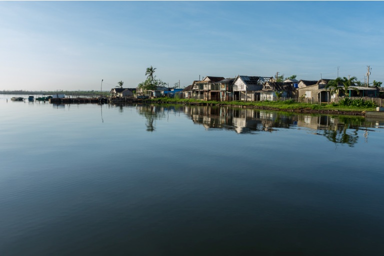 La marcha de la Tarea Vida en Camagüey