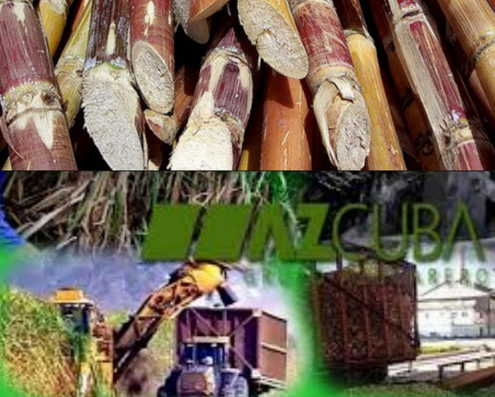 Anuncian ganadores del Premio de Periodismo azucarero 2017