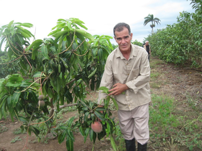 Genaro, y la mula de Irma