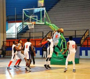 Puede ser el año del Tigre