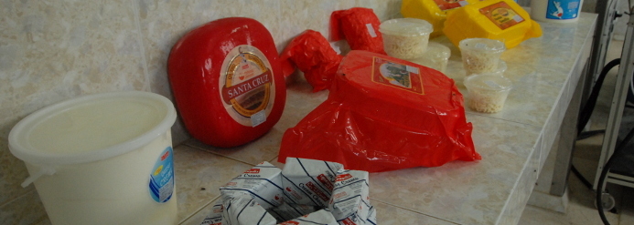Crear conciencia exportadora para lograr producciones con calidad