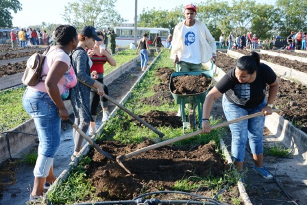 Jóvenes camagüeyanos protagonizan jornada de trabajo voluntario