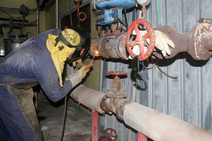 Florida tendrá helado propio 