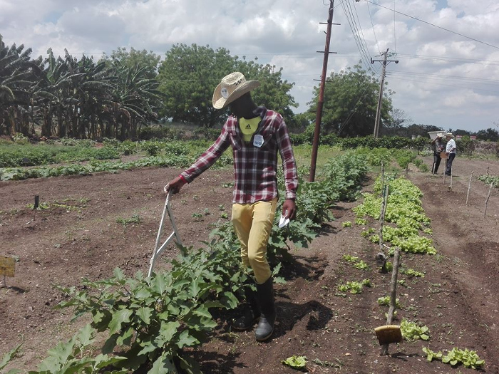 Feria juvenil rescata la tradición Agrónoma