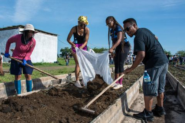 “¡Aquí hay tierra!” 