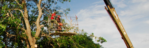 En Cuba preparativos del Ejercicio Popular Meteoro