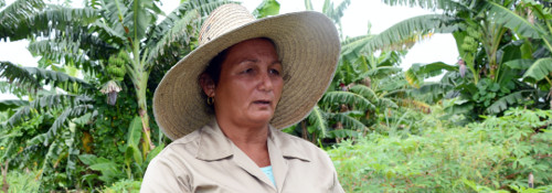 La mejor cosecha de Saraí