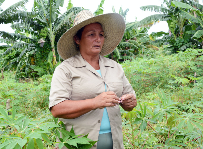 La mejor cosecha de Saraí
